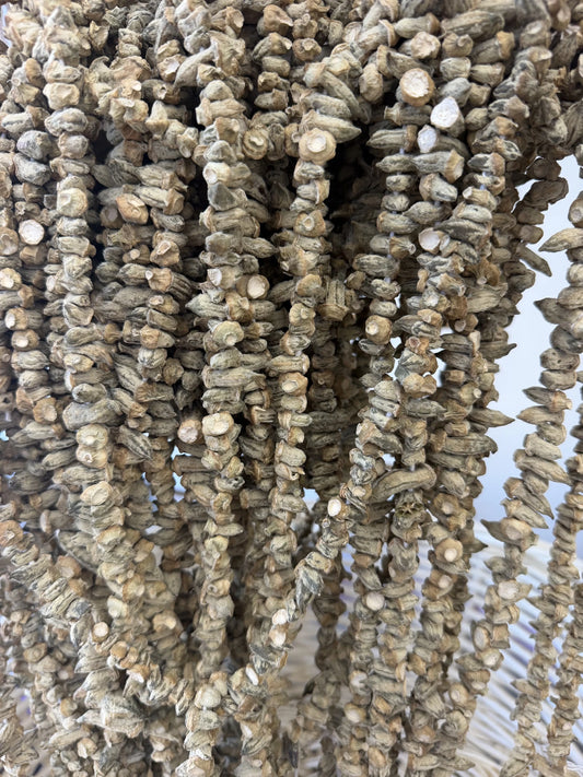Aleppo Dried Okra (Bamya)